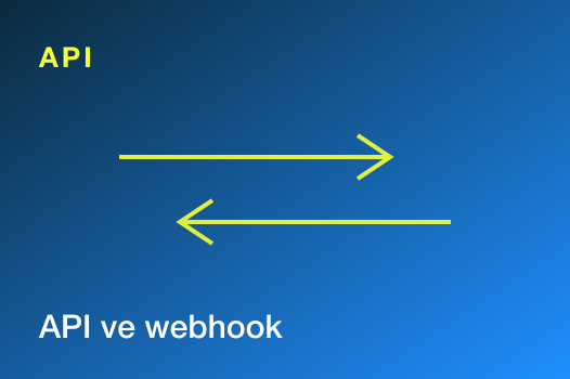 API & Webhooks